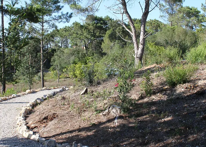 فيلة Quinta Acacias Perto Do Meco