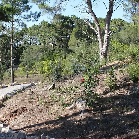 Villa Quinta Acacias Perto Do Meco